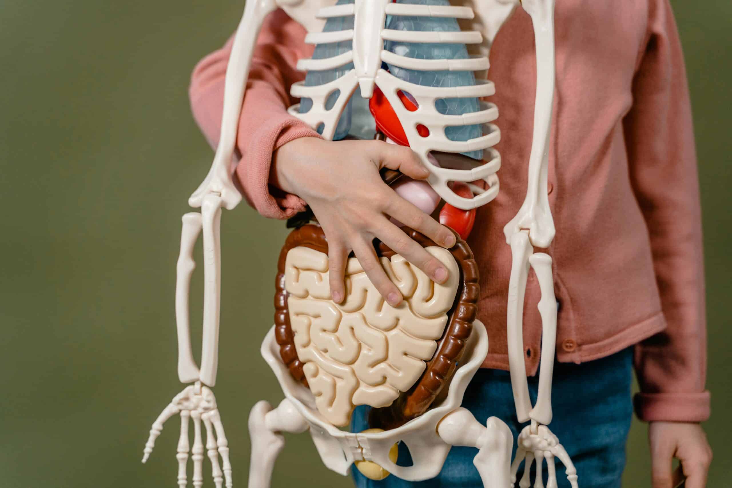 Whole-person support for the gut-brain connection